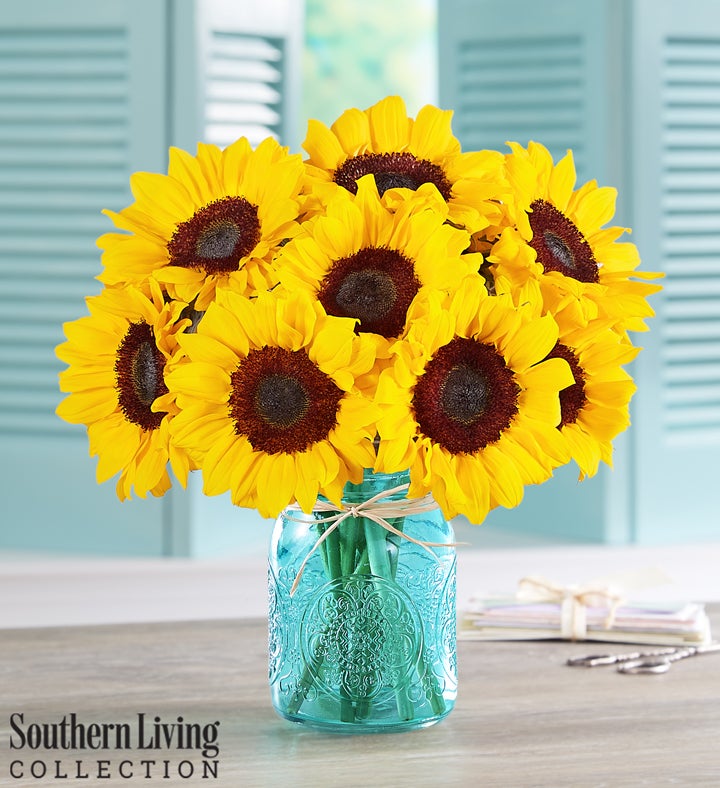 10 Stems Sunflowers by Southern Living®